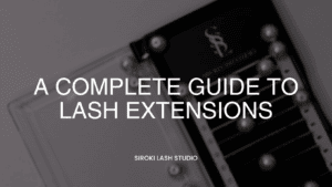 A complete guide to Lash Extensions - Showit Blog