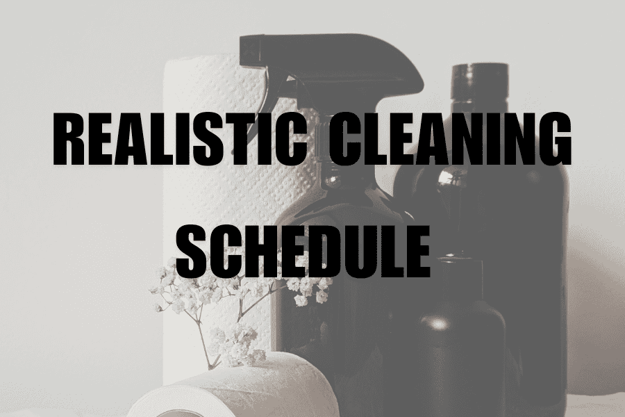 Realistic Cleaning routine